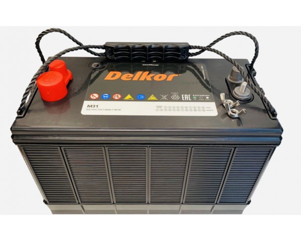 Тяговый аккумулятор Delkor M31